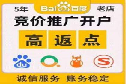 百度竞价数据分析：实战案例与优化策略